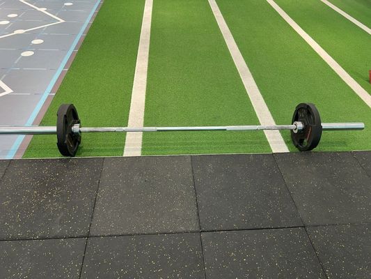 Noise Reduction Black Base Gym Rubber Flooring Mats with Different Color EPDM Dots for Gym Free Weight Area