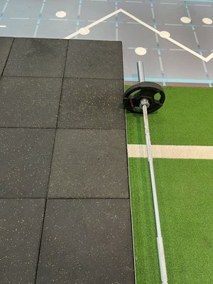 20mm Premium Fleck Rubber Gym Flooring Tile with Vibrant Seahawk Fleck Design